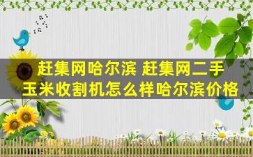 赶集网哈尔滨 赶集网二手玉米收割机怎么样哈尔滨价格